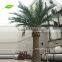 GNW APM015 decorative artificial royal palm tree 5m high for outdoor landscape decoration