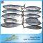 Sea Frozen Bonito Skipjack Fish Sale