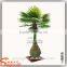 make cheap indoor and outdoor artificial bottle palm tree wholesale