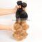 Wholesale 1B/27 Ombre Hair Weaves Body Wave Blonde Virgin Malaysian Human Hair Extension