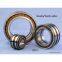 SL045022-PPNR Full Complement Cylindrical Roller Bearing