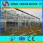 2017 Commercial Agricultural Aquaponics Greenhouse For Planting Vegetables