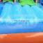 candy inflatable water slide for sale