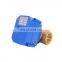 CWX - 60p   large output in   mini size valve and   plastic High quality  motorized ball valve