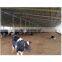 low cost farming building light weight prefabricated steel structure cowshed