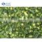 Sinocharm BRC-A approved Frozen Vegetable IQF Green spicy Pepper Frozen Green spicy Pepper