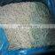 Sinocharm BRC Certified  High Quality Frozen Burdock Strip for Japan Market