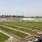 Rice Nursery Seedling Machine for Sale with Good Quality in March Expo