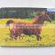 Taizhou toy wood puzzles