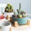 Factory Price Planter Pots Plants Ceramic Supplies Plant Home Garden Flower Pot With Wooden Rack