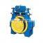 Chinese production elevator winch chain elevator 2 ton motor with brake