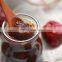 Dates syrup making machine/Dates Molasses making machine