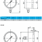 Stainless steel high pressure capsule pressure gauge