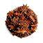 Aniseed