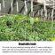 Metal Tomato Rope Hooks Support Clamps for Cucumber Tomato Pepper Eggplant Vines Flower Plant with PP Twine