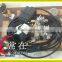 Anti-lock brake system/ABS for semi trailer