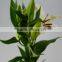 Fashionable Siberia white lily bouquet