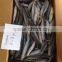 Frozen Sardine 100-150g