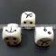 High quality plastic poker dice