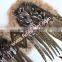 Wholesale Pheasant Chicken Wings For Halloween Decoration