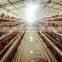 egg chicken house design for layers / chicken farm equipment