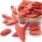 Dried Fruit with organic goji wolfberry goji