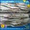 Purse seine frozen sardines for sale low price