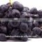 IQF style Chinese fresh blackcurrant