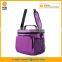 Large Insulated Lunch cooler Bag Carry Handle for frozen food