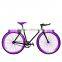 700C vintage Chinese wholesale fixie bike fixed gear bike/road bike for sale (PW-F700C303)