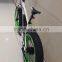 fat e road high power 36V 300W electric bike