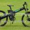 Seagull CVT-250w hot sell electric bikes Design based on human,mountain electric bike