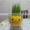 Mini Decorative Pot, Decorative Pot, Head Grass Pot