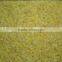 IQF Frozen Ginger Diced with best price and high quality for sale