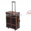 2016 Sunrise Wheeled Mobile Professional Aluminum/PVC Makeup Trolley Case with Lights and Legs