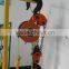 AC 380v 3 phase DHp type electric chain hoisting equipment