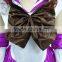 2016 Carnival Sailor Costume Navy Uniform Role Play Sailor Moon Costume