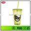 Wholesale Bpa Free Plastic 16oz Double Wall Mug With Straw