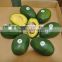 Supply Fresh Avocado Fruit
