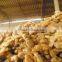 GIMEX VIET NAM FRESH HOT GINGER