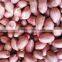 INDIAN SPLIT BLANCHED PEANUT KERNEL EXPORT QUALITY