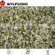 IQF frozen price for Soybean sprout green 2015 hot sales