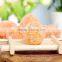 Dried fruit Sugar kumquat