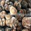Deep frozen black truffle for sale