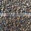 Black pepper FAQ 500GL, 550GL. 570GL, strong taste and good spicy