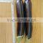 High yield anti TWV strong growth eggplant seeds hybrid eggplant seeds 707 F1