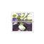 Olive - falling fruit harvesting net,