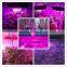 home grow full spectrum 500w led grow light