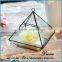 Clear geometrical terrarium glass hanging for indoor plant holder