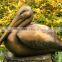 Bronze Pelican on Dock statue